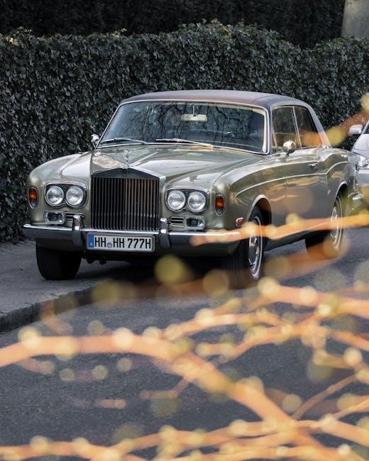 rainbows badge book pdf free download