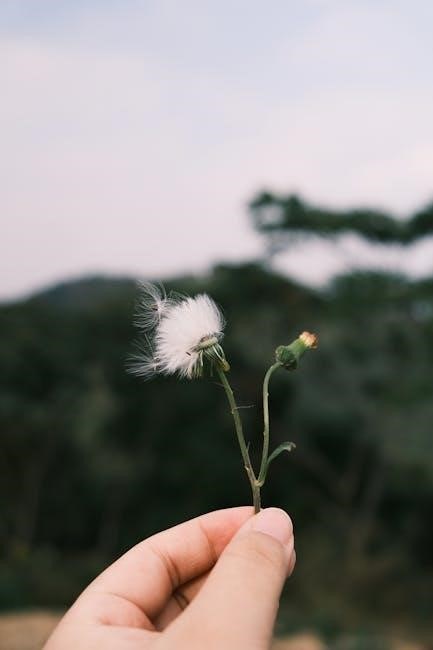 one touch ultra mini instructions