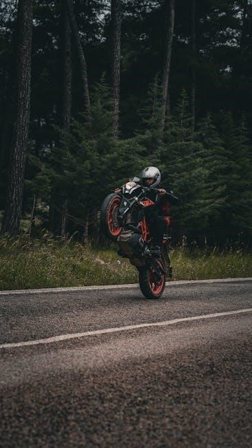 free cogat practice test pdf