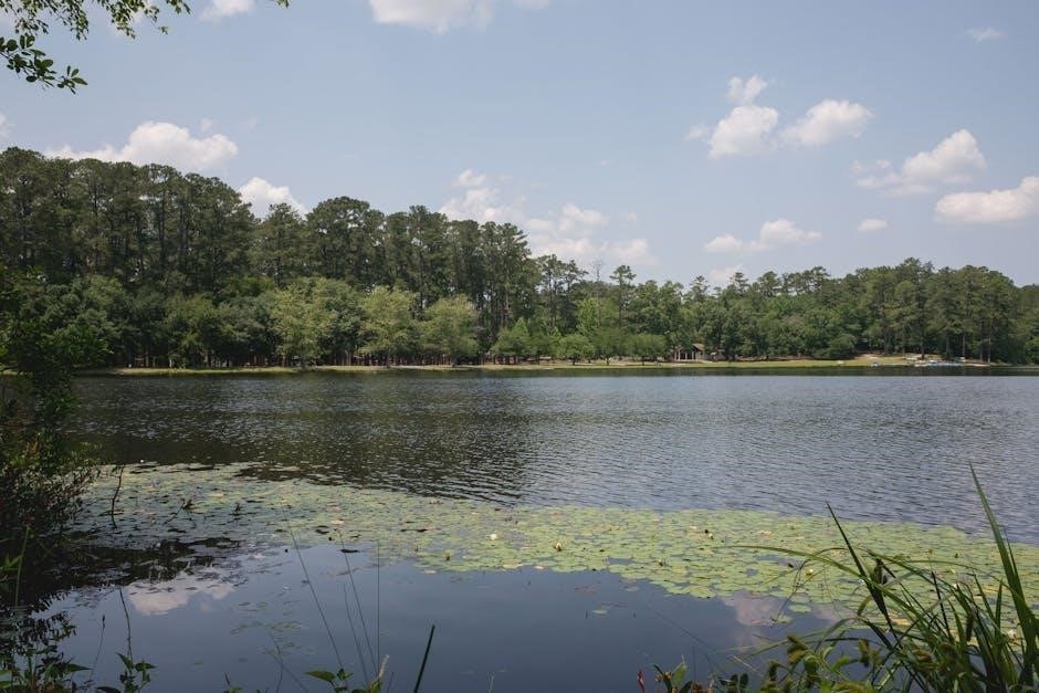 cdl manual south carolina