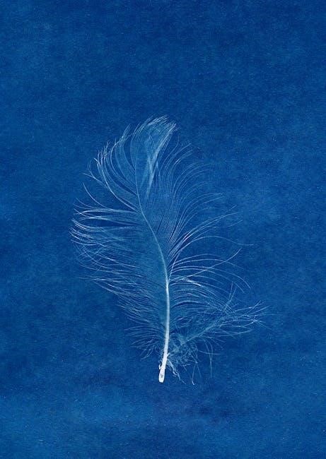 montana form 2 instructions