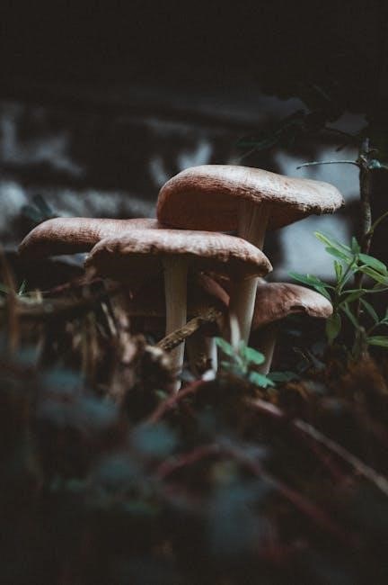 audubon field guide to mushrooms