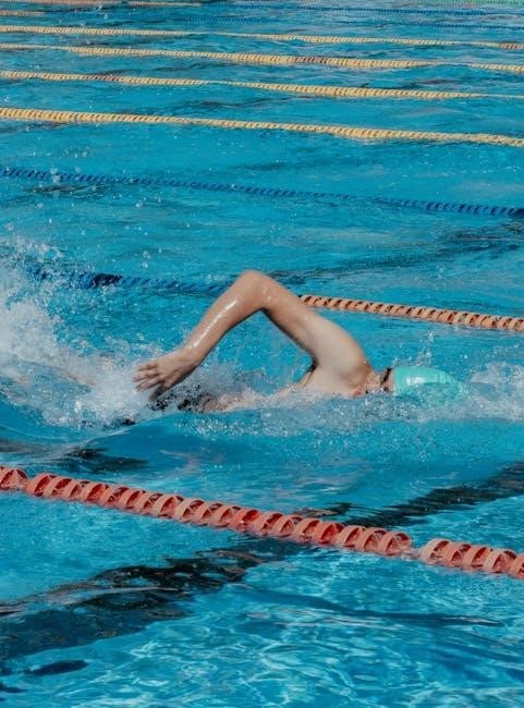 hayward pool heater manual pdf