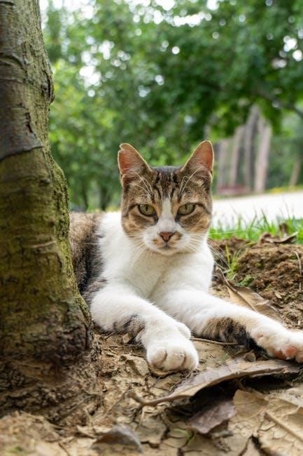 mesa verde self guided tours
