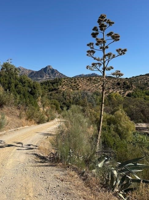 spanish language pdf