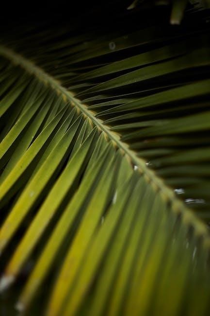 what is a linearized pdf