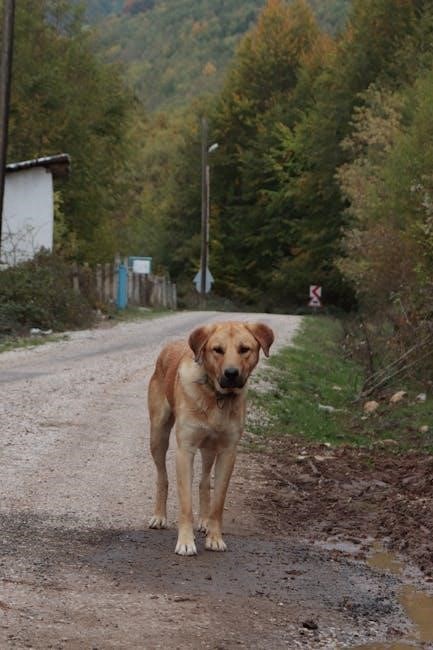 accolades secondaire 5 corrigé pdf gratuit