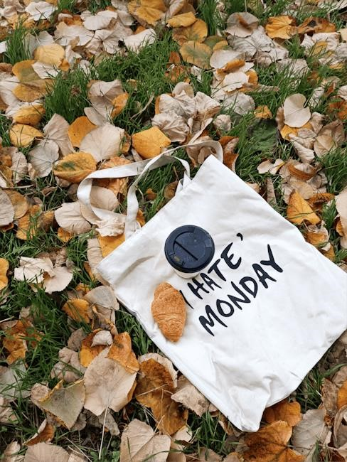 craftsman leaf blower/vacuum instructions