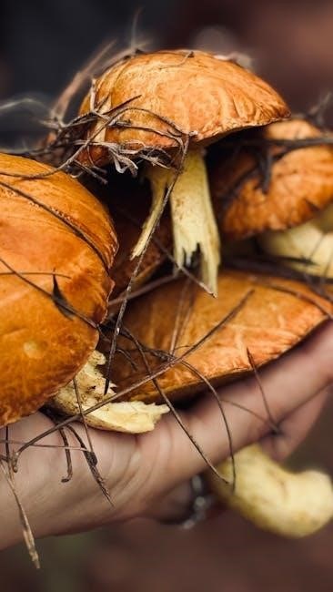 astronauts guide to life on earth