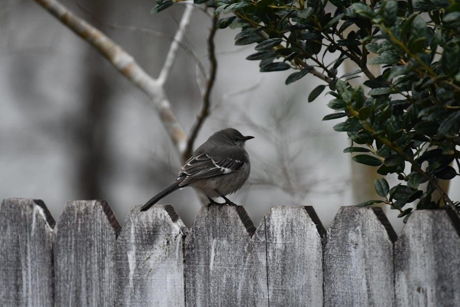 mincing mockingbird guide to troubled birds